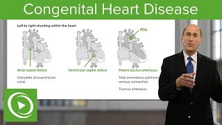 The Easy Way to Understand Congenital Heart Disease 🫀  Cardiology [upl. by Wun]