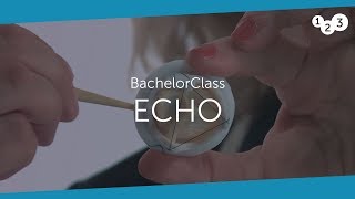 Echo BachelorClass  Your introduction to basic echocardiography [upl. by Enenaj]