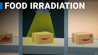 Using Nuclear Science in Food Irradiation [upl. by Aterg65]