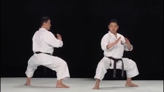 Seiyunchin Kata Instructional [upl. by Nhguavahs]