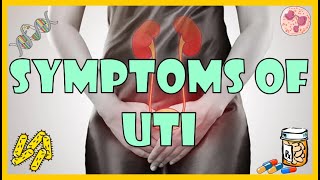 Urinary Tract Infection UTI Symptoms Causes amp Risk Factors [upl. by Faxen]