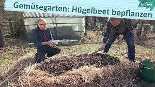 Heiß auf Gemüse Hügelbeet im Frühjahr nutzen  MDR Garten [upl. by Culbert]