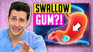 The TRUTH About Swallowing Gum  Responding To Comments 16 [upl. by Akin]