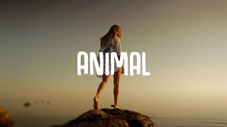 Vicetone  Animal Lyrics ft Jordan Powers amp Bekah Novi [upl. by Nallac]