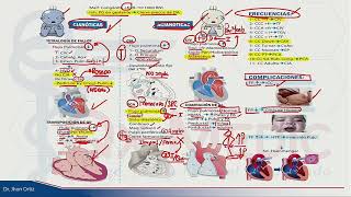 ESI 2019 PEDIATRÍA CARDIOPATÍAS CONGÉNITAS  DR JHON ORTIZ [upl. by Agrippina899]