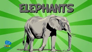 The Elephant  Educational Video for Kids [upl. by Natiha783]