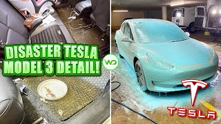 Deep Cleaning the FILTHIEST Tesla Model 3 EVER  Satisfying DISASTER Electric Car Transformation [upl. by Wendelina14]