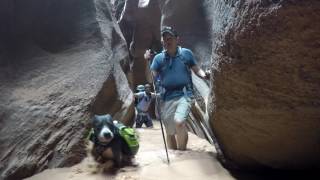 Backpacking Buckskin Gulch [upl. by Cherida]