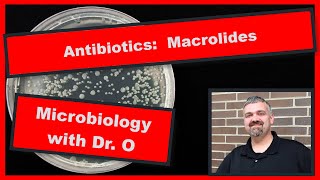 Macrolide Antibiotics like Azithromycin Microbiology [upl. by Hill]