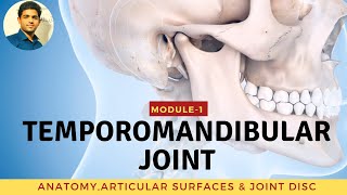 TEMPOROMANDIBULAR JOINT Anatomy amp Biomechanics [upl. by Rein]