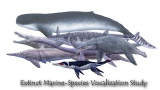 Extinct MarineSpecies Vocalization Study [upl. by Ede]