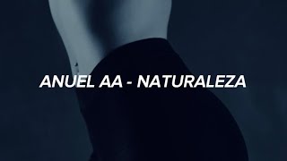 Anuel AA  Naturaleza  LetraLyrics [upl. by Ecilegna]