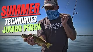 Fishing For Jumbo Perch  Summer Techniques [upl. by Kitti]