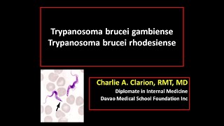 Trypanosoma brucei gambiense and rhodesiense [upl. by Glennon]