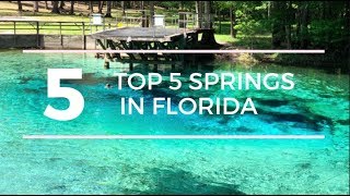 TOP 5 SPRINGS in FLORIDA with a CAMPGROUND [upl. by Hudgens]