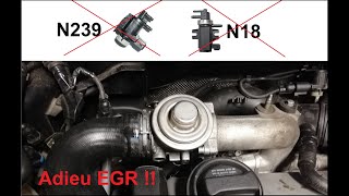 Supprimer EGR TDI [upl. by Latona]