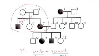 BiologieErfelijkheiddominant of recessief in stambomen [upl. by Derfiniw]
