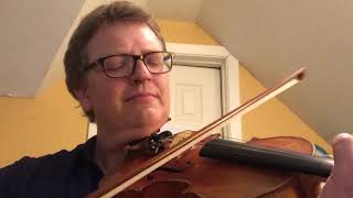 Traditional Irish Fiddle Tunes [upl. by Lorain]