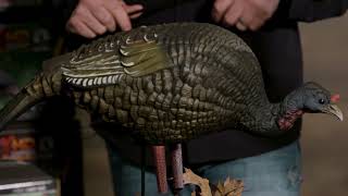 Higdon Outdoors  Feeder Hen Turkey Decoy [upl. by Enieledam]