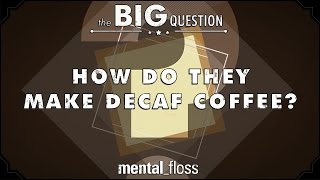 How Do They Make Decaf Coffee  Big Questions  Ep1 [upl. by Erdei29]