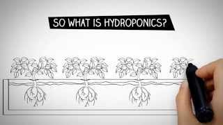 What is Hydroponics [upl. by Stephine]