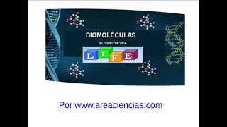 Biomoléculas Formadas Por los Bioelementos [upl. by Ahsiek544]