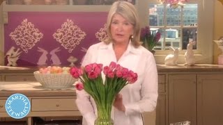 How To Keep Your Flowers Fresh  Martha Stewart [upl. by Mintun50]