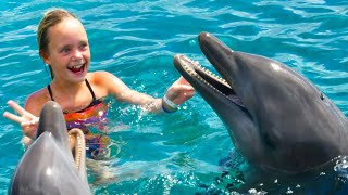 We Play with Dolphins on a Tropical Island Kids Fun TV [upl. by Robinson]