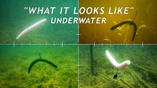 4 Wacky Rigging Methods  What it Looks Like Underwater [upl. by Madonna]