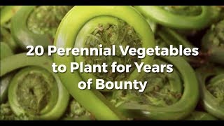 20 Perennial Vegetables to Plant Now and Enjoy Forever [upl. by Osmen594]