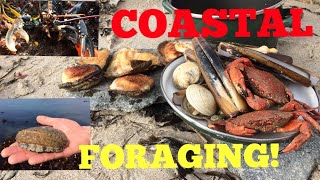 Coastal Foraging  Cook Up On The Beach  Ormers  Abalone  Lobster  Clams and More [upl. by Leasia]