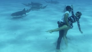 Dancing with Sharks Shark Couple Ocean Ramsey amp JuanSharks [upl. by Abbye]