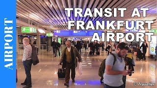 TRANSIT WALK AT FRANKFURT Airport FRA Terminal 1  Connection Flight Transfer Arriving amp Departing [upl. by Alley]