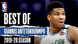 Best Of Giannis Antetokounmpo  201920 NBA Season [upl. by Yticilef]