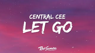 Central Cee  Let Go Lyrics [upl. by Nodarb]