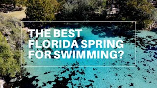 THE BEST FLORIDA SPRING for Swimming  Florida Springs  Silver Glen Springs  Ocala National Forest [upl. by Anilemrac]