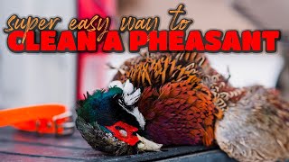 Easiest Way to Clean a Pheasant [upl. by Millie]