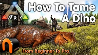 Ark HOW TO TAME A DINOSAUR Everything You Need To Know To Start Taming In 2020 ARK [upl. by Eerak121]