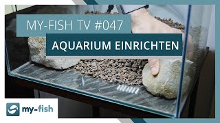 Ein neues Aquarium einrichten  myfish TV [upl. by Nickelsen]