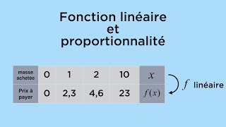 Fonction linéaire et proportionnalité [upl. by Stanhope703]