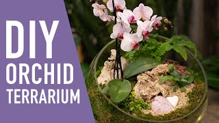 Happily Ever After Orchid Terrarium DIY  West Coast Gardens [upl. by Neyugn242]