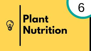 Plant Nutrition and photosynthesis  IGCSE Biology [upl. by Anneres]