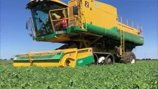 HMC How does a Pea Viner work [upl. by Albin]