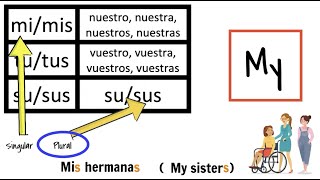 Possessive adjectives in Spanish for beginners how to say my your his her their explanation [upl. by Eelyk]