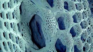 The Mandelbulb  3D Fractal Tour in 8k [upl. by Litha]